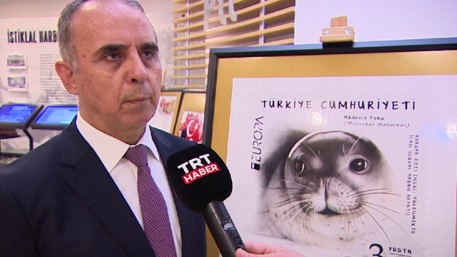 Avrupa Pulu Yarışması'nda Türkiye'yi Akdeniz foku Badem temsil edecek